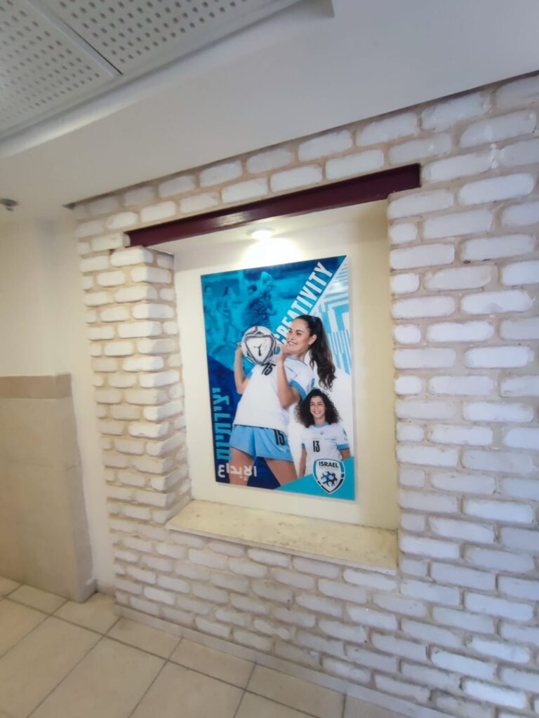 קירות תצוגה
